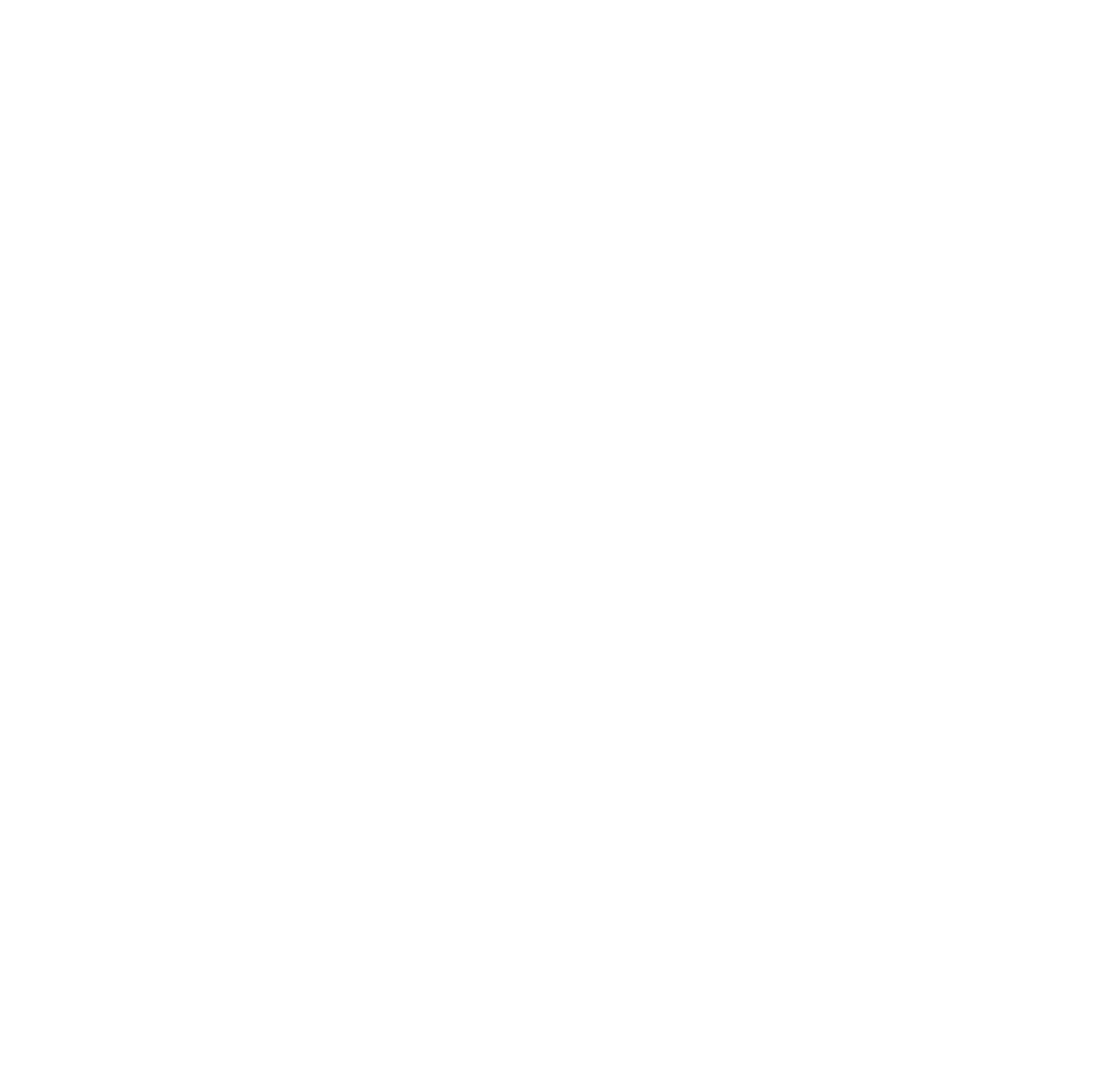 VIOW Isle of Wight logo white.